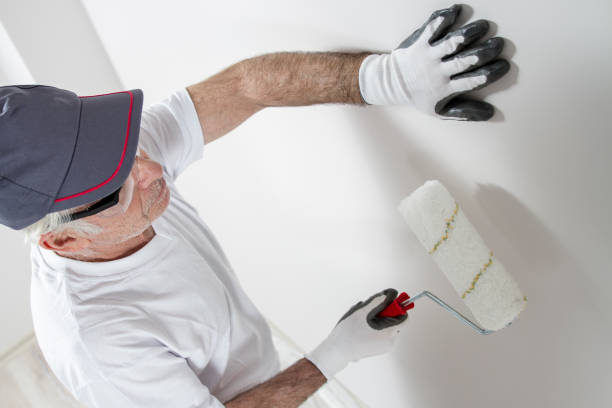 Trusted Grandview Plaza, KS Mold Removal Experts