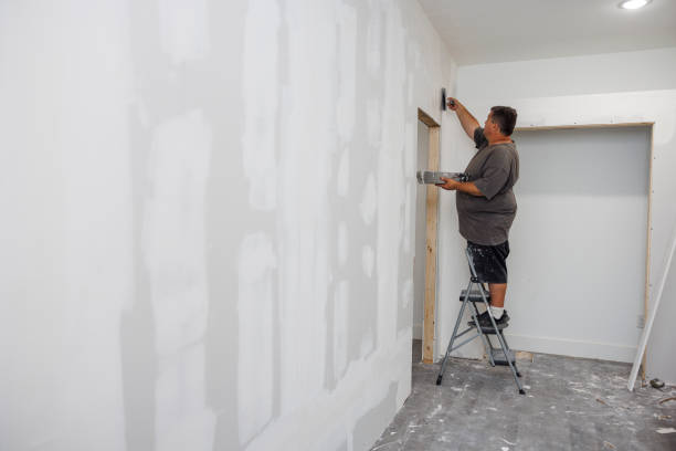 Best Forensic Mold Investigation  in Grandview Plaza, KS