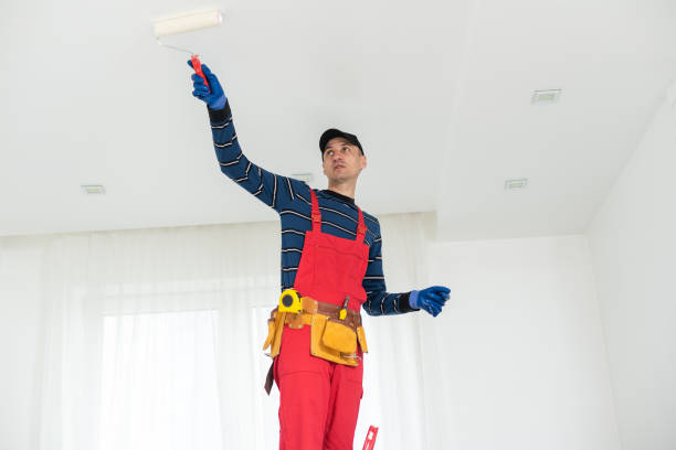 Best Mold Remediation for Healthcare Facilities  in Grandview Plaza, KS